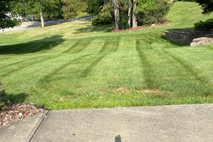 Commercial Mowing